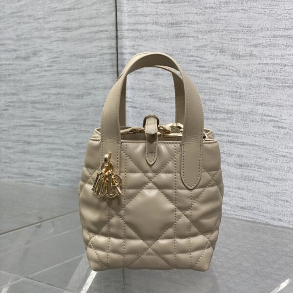 Dior Vertical Mini Toujours Tote Bag
