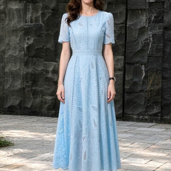 Embroidered Short Sleeve A-Line Midi Dress