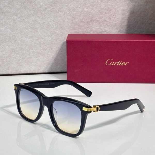 Cartier Square Acetate Sunglasses